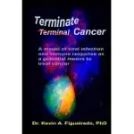 TERMINATE CANCER: A MODEL OF VIRAL INFECTION AND IMMUNE RESPONSE AS A POTENTIAL MEANS TO TREAT CANCER