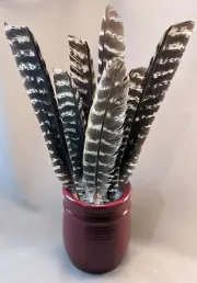 3ct Natural Turkey Feathers Striped Smudging Decor Crafting Lures F5
