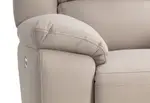 RODDICK FABRIC Electric Recliner