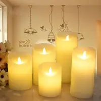 在飛比找蝦皮購物優惠-Candle LED Light Flameless Can