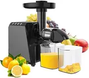 Juicer Machines, 250W Slow Masticating Juicer, Professional Cold Press Juicer with Quiet Motor and Reverse Function, Juicer Extractor for Vegetables and Fruit, Easy to Clean with brush, 1.3L, Meteorit