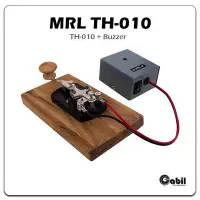 在飛比找Yahoo!奇摩拍賣優惠-【中區無線電】「MRL TH-010+TH-BZ01蜂鳴器 