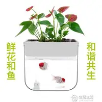 在飛比找樂天市場購物網優惠-知魚魚菜共生小魚缸小型迷你水族箱免換水魚缸懶人辦公室生態魚缸