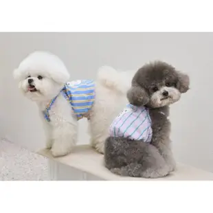 Benny's Puppy 狗狗短款上衣，韓國買的