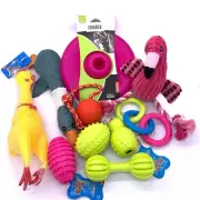 10 Puppy / Large Breed Dog Toys Gift Set