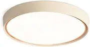 Colored Metal Ceiling Lamp,2-inch Round Wrought Iron Decoration Lighting Fixtures,Acrylic Lampshade Flush Mount Ceiling Light, Study Kitchen Simple Flat Ceiling Lamp
