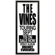 The Vines - Highly Evolved Vintage Daybill Poster Framed