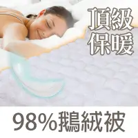 在飛比找Yahoo!奇摩拍賣優惠-泰鼎級白鵝絨98%雙人羽絨被【名流寢飾家居館】