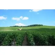 Save 10.00%! Private Champagne Tour and Reims from Paris with Hotel Pick Up
