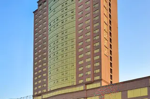 河源百利龍城國際酒店Dragon City International Hotel