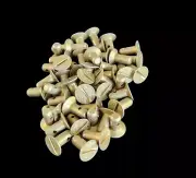 ( QTY 20 ) Stud, P/N 130176-5SF-20 New