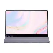 ENGLAON 15.6” Full HD IPS LED Portable Monitor