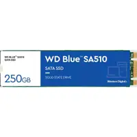 在飛比找蝦皮購物優惠-(二手) WD Blue 藍標 SA510 250GB M.