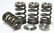 GSC Beehive Spring Kit Retainers/Chromoly Seats for 13+ Scion FR-S / Subaru BRZ