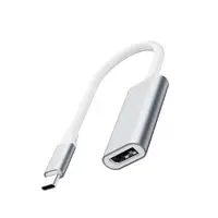 在飛比找ETMall東森購物網優惠-USB C To DisplayPort Adapter, 