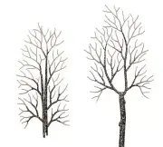 WINTER DECIDUOUS TREES (x4) 165 mm high Busch 6158