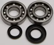NEW ALL BALLS CRANKSHAFT BEARING/SEAL KIT-24-1046- SUZUKI/RM250