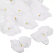20Pcs 3.9" Artificial Silk Butterfly Orchid Flower Heads for DIY, Pure White