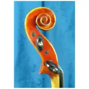 Fine Violin 4/4 Labeled Francesco Cervini Stradivarius 1714 Pirastro Strings