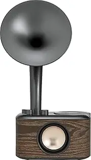 Sangean WR-45 FM Radio with Bluetooth, Black/Wood