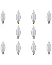 Bulbrite Set of 10 Incandescent Satin Bulbs
