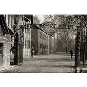 Save! Auschwitz-Birkenau Guided Shared Tour from Krakow