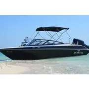 Save 4.99%! 3-Hour Private Speedboat Tour & Dolphin Watching & Giftun Island