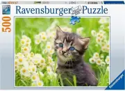 Ravensburger: Cats Photo Puzzle (500pc Jigsaw) Board Game