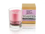 Scents Of Nature Soy Candle 240 g - Toasted Marshmallow by Tilley FG1253