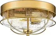 EMLIVIAR Gold Flush Mount Ceiling Light, Modern Close to Ceiling Lamp with Seeded Glass, 2-Light for Bedroom, Foyer, Hallway, Brushed Champagne Gold Finish, AUT25 BG