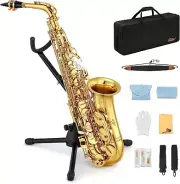 Eastar AS-Ⅱ Alto Saxophone E Flat With Carrying Case Mouthpiece Strap Stand