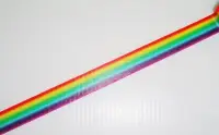 在飛比找Yahoo!奇摩拍賣優惠-紙膠帶 台灣原創 彩虹 分裝100cm