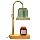 Candle Warmer Lamp with Timer Adjustable Height Candle Lamp Warmer 4 Level