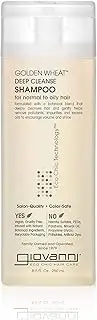 GIOVANNI ECO CHIC Golden Wheat Deep Cleanse Shampoo - Shampoo for Oily hair, Deep Cleansing With Botanical Oils, Helps Encourages Volume & Shine, Color Safe - Spearmint Oil + Aloe Vera, 8.5 oz