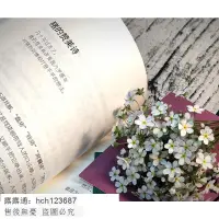 在飛比找露天拍賣優惠-書 正版 【文學】總有喜鵲待人來(好事會發生的,我們壹起等待