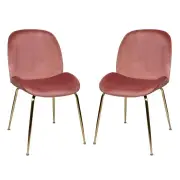 Raimon Furniture Set of 2 Casa Velvet Fabric Dining Chair - Gold Legs - Blush
