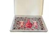 $325 NEW NICOLETTE MAYER COLLECTION Acrylic Tray 22.5”x14.5” Pink Floral Vase