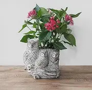 Wavy Studio Concrete Owl Garden Statue Planter for Indoor/Outdoor Use, Owl Plant Holder with Basket for Home & Garden Decor (Owl)