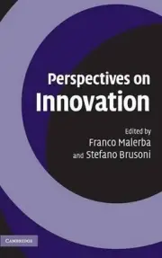 Perspectives on Innovation by Franco Malerba (English) Hardcover Book
