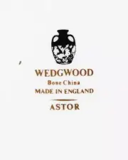 ASTOR by Wedgwood Coffee Pot 10.25 tall NEW NEVER USED made in England