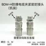 BDM-H鎧裝防爆電纜夾緊密封接頭雙密封橡皮G3/4G1/2M20