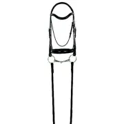 Camelot Snaffle Dressage Bridle Horse