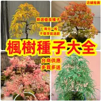 在飛比找蝦皮購物優惠-🔥💥🔥【楓樹種子】全網楓樹種子大全 20多個正版金線楓樹 羽