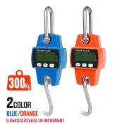 Mini Portable Crane Scale LCD Digital Electronic Hook Hanging Scale 300kg 0.05kg