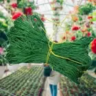 Lattice Net Ornaments Plant Support Net Flower Vine Holder Mesh for Grapes Beans