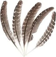 Operitacx 5pcs Craft Plume Decorative Materials Plume Props for DIY Wedding Party Home Decor