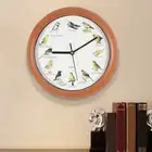 10inch Bird Wall Clock Bird Name Clock Chirping Function For Home Decoration
