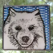 Spitz Dog Windshop stained glass suncatcher 4"x 4" #143