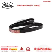 7PK1685 V-Ribbed AT Belt for HONDA CR-V MK IV RM4 K24Z9 2.4L Vtec% 30/10/2015 no (for: Honda)