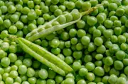 PEA SHELLING 'Greenfeast' seeds
